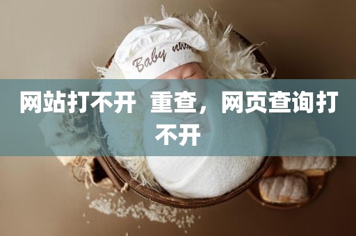 网站打不开  重查，网页查询打不开