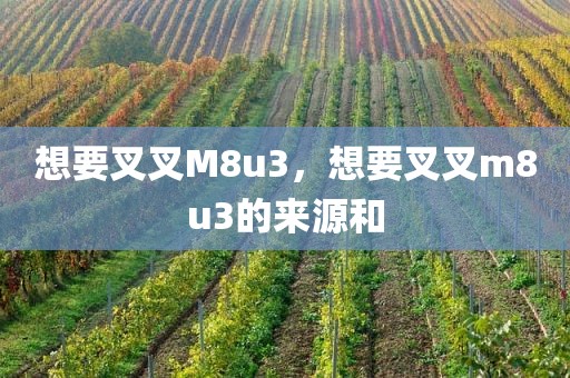 想要叉叉M8u3，想要叉叉m8u3的来源和