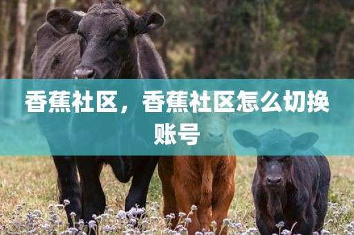 香蕉社区，香蕉社区怎么切换账号