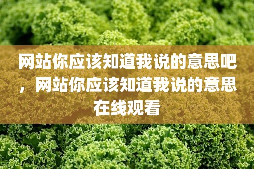 网站你应该知道我说的意思吧，网站你应该知道我说的意思在线观看