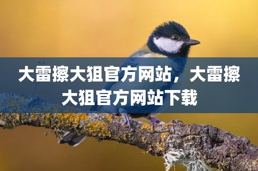 大雷擦大狙官方网站，大雷擦大狙官方网站下载