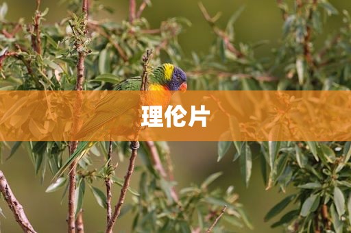 理伦片