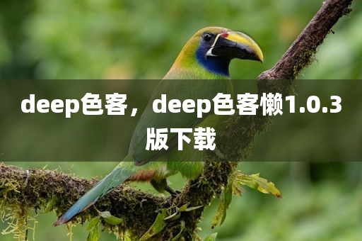 deep色客，deep色客懒1.0.3版下载