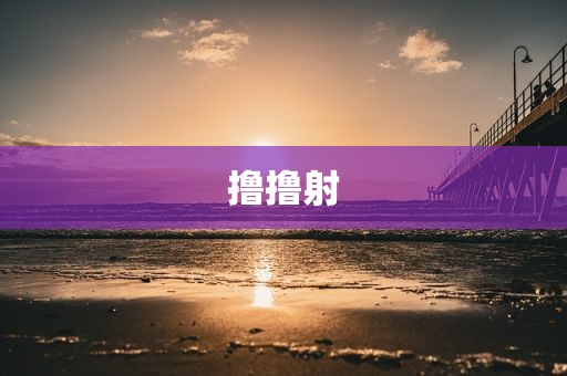 撸撸射