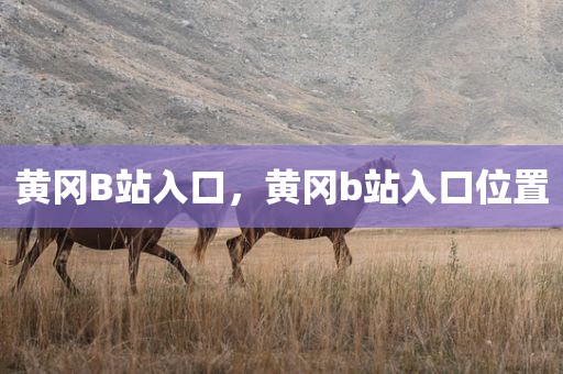黄冈B站入口，黄冈b站入口位置