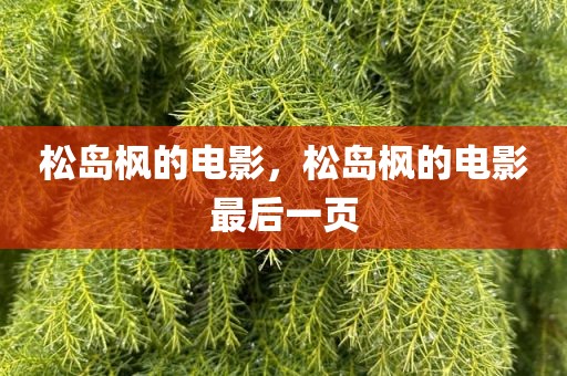 松岛枫的电影，松岛枫的电影最后一页