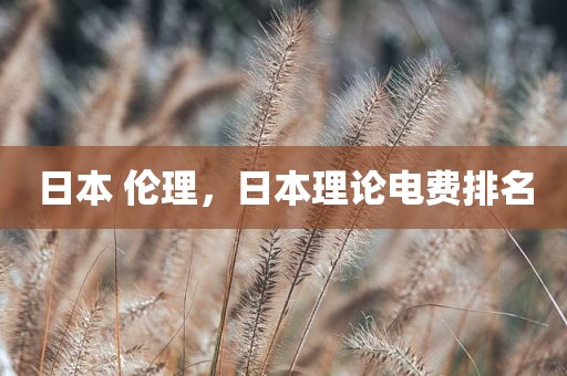 日本 伦理，日本理论电费排名