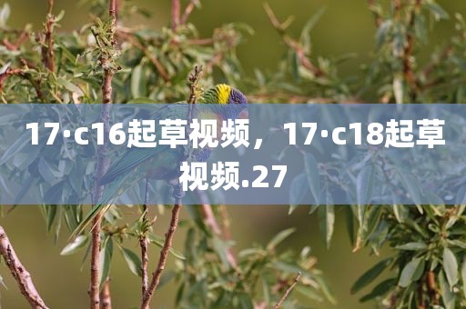 17·c16起草视频，17·c18起草视频.27