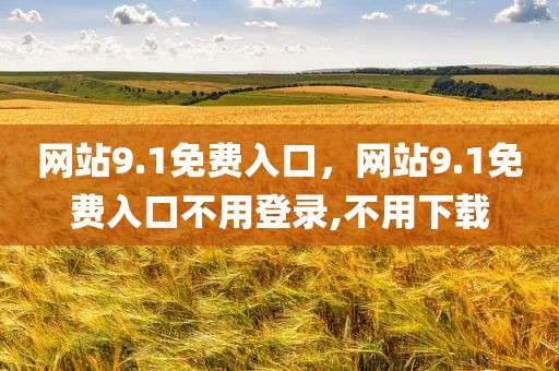 网站9.1免费入口，网站9.1免费入口不用登录,不用下载