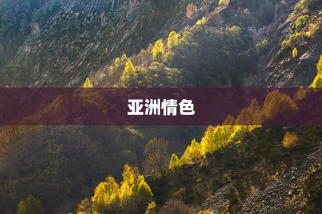亚洲情色