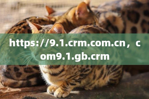 https://9.1.crm.com.cn，com9.1.gb.crm