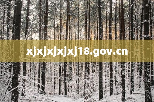 xjxjxjxjxj18.gov.cn
