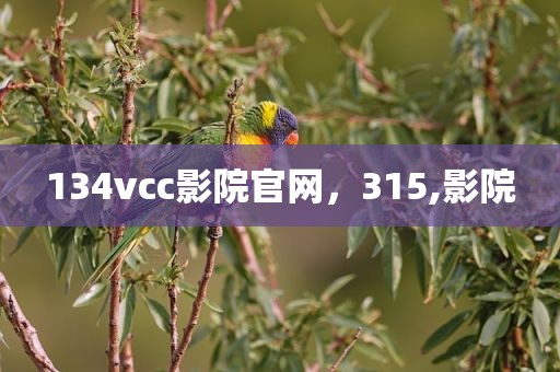 134vcc影院官网，315,影院