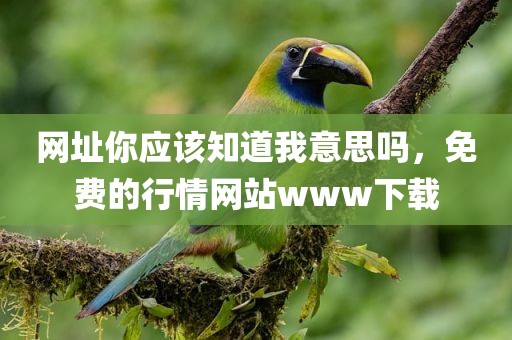 网址你应该知道我意思吗，免费的行情网站www下载