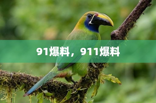 91爆料，911爆料