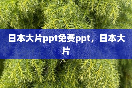 日本大片ppt免费ppt，日本大片