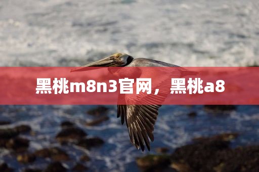 黑桃m8n3官网，黑桃a8