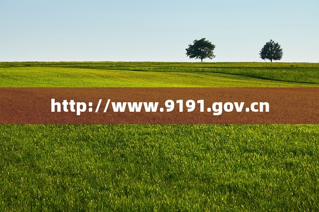 http://www.9191.gov.cn