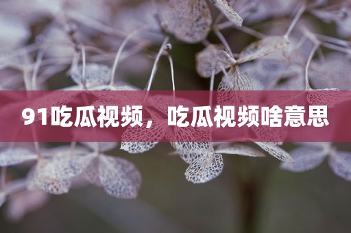 91吃瓜视频，吃瓜视频啥意思