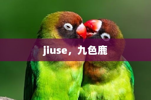 jiuse，九色鹿