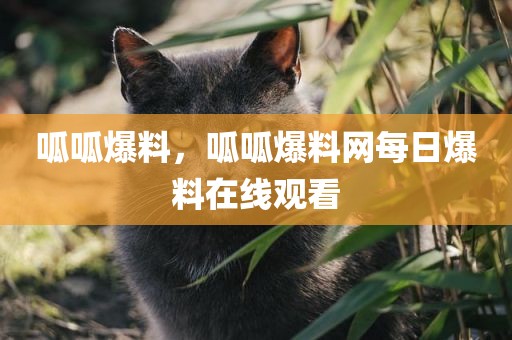 呱呱爆料，呱呱爆料网每日爆料在线观看