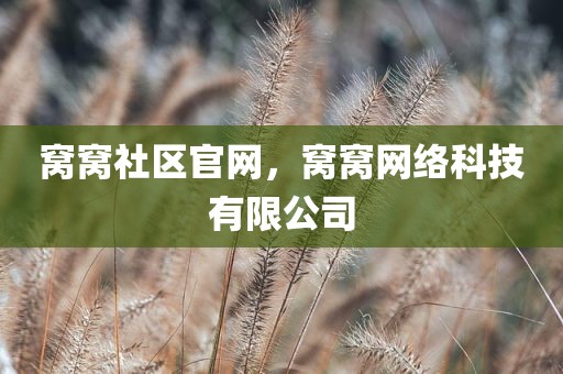 窝窝社区官网，窝窝网络科技有限公司