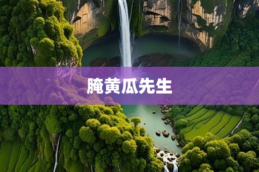 腌黄瓜先生