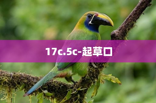 17c.5c-起草口