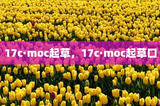 17c·moc起草，17c·moc起草口