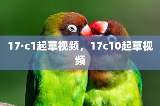 17·c1起草视频，17c10起草视频