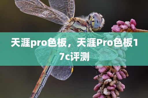 天涯pro色板，天涯Pro色板17c评测