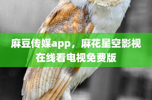 麻豆传媒app，麻花星空影视在线看电视免费版
