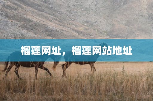 榴莲网址，榴莲网站地址