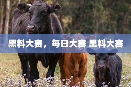 黑料大赛，每日大赛 黑料大赛