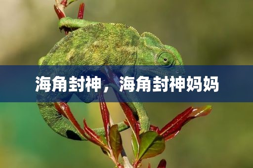 海角封神，海角封神妈妈