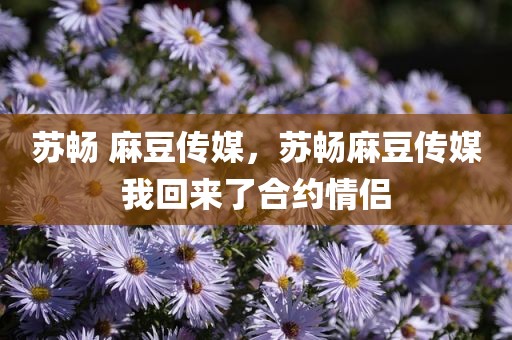 苏畅 麻豆传媒，苏畅麻豆传媒我回来了合约情侣
