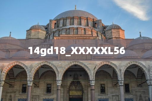 14gd18_XXXXXL56
