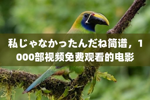 私じゃなかったんだね简谱，1000部视频免费观看的电影