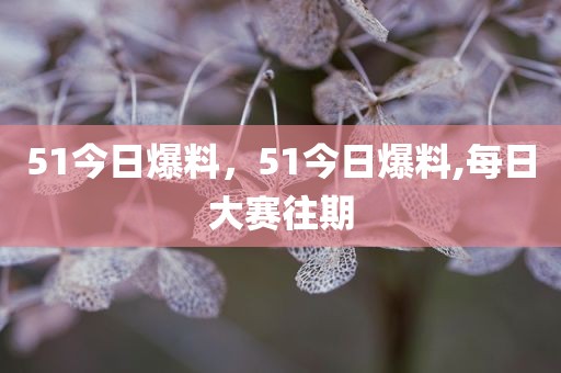 51今日爆料，51今日爆料,每日大赛往期