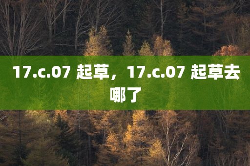 17.c.07 起草，17.c.07 起草去哪了