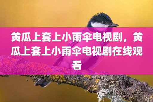 黄瓜上套上小雨伞电视剧，黄瓜上套上小雨伞电视剧在线观看