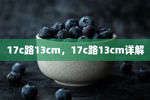 17c路13cm，17c路13cm详解