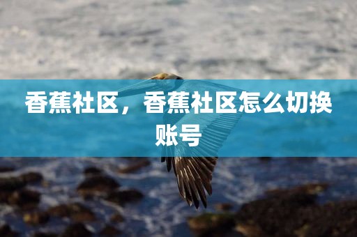 香蕉社区，香蕉社区怎么切换账号