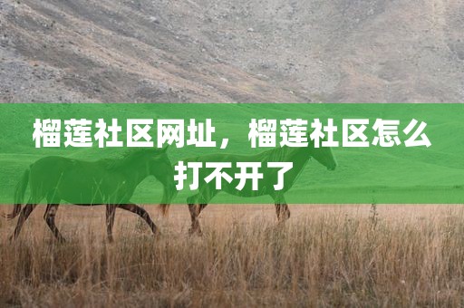 榴莲社区网址，榴莲社区怎么打不开了