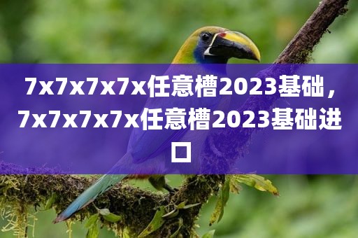 7x7x7x7x任意槽2023基础，7x7x7x7x任意槽2023基础进口