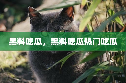 黑料吃瓜，黑料吃瓜热门吃瓜