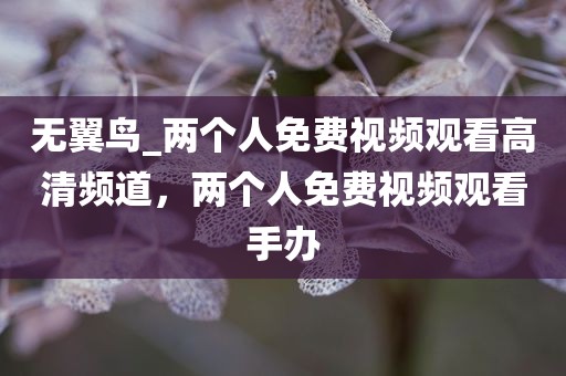 无翼鸟_两个人免费视频观看高清频道，两个人免费视频观看手办