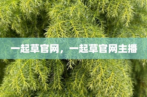 一起草官网，一起草官网主播