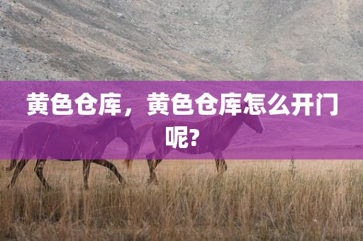 黄色仓库，黄色仓库怎么开门呢?