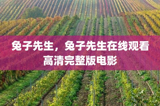 兔子先生，兔子先生在线观看高清完整版电影